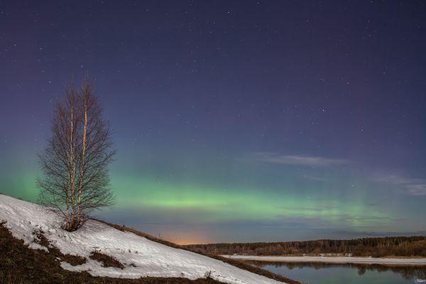 Northern Lights - Astrophotography