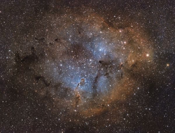 Elephant's Trunk IC 1396 - Astrophotography