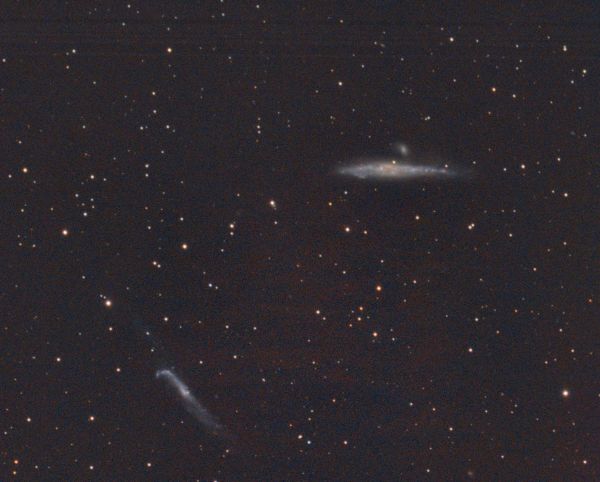 NGC4631 - Astrophotography