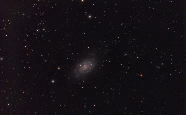 Galaxy NGC 2403 - Astrophotography