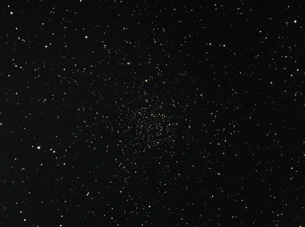 Caroline's Rose Cluster (NGC 7789) - Astrophotography