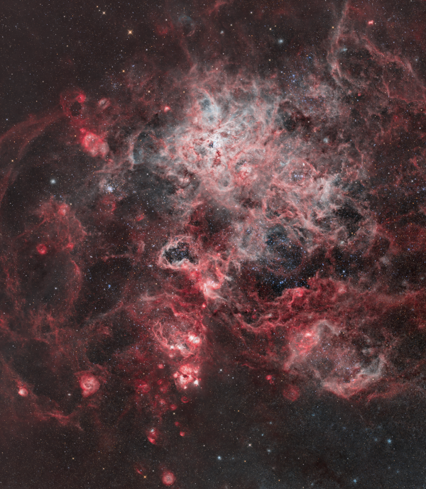 The Tarantula Nebula (NGC 2070) - Astrophotography