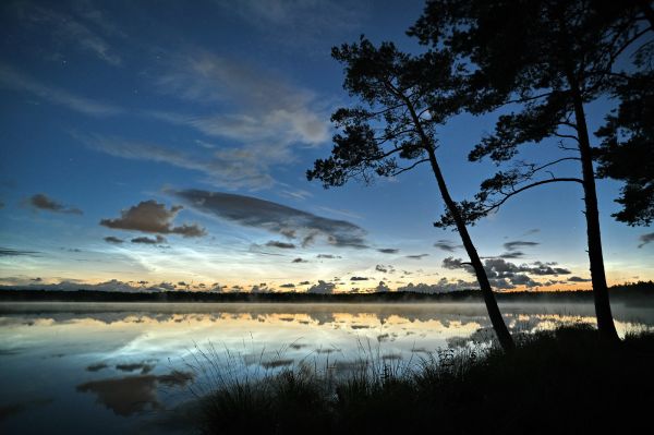 Silver 07.2022 - Astrophotography