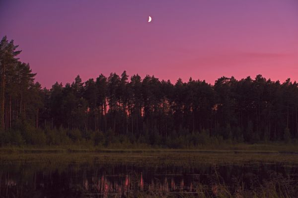 Moonset 07.2025 - Astrophotography