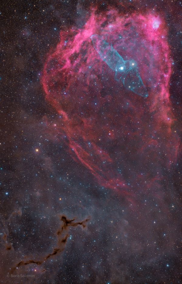 Squid, Bat and Sea Horse - Astrophotography