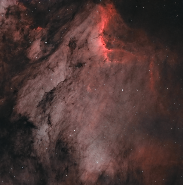 Pelican Nebula IC 5070 - Astrophotography