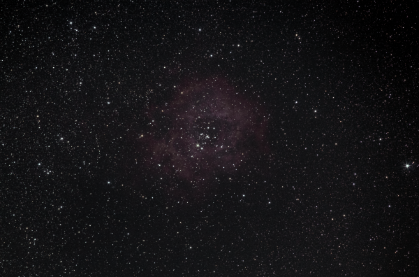 NGC 2244 - Astrophotography
