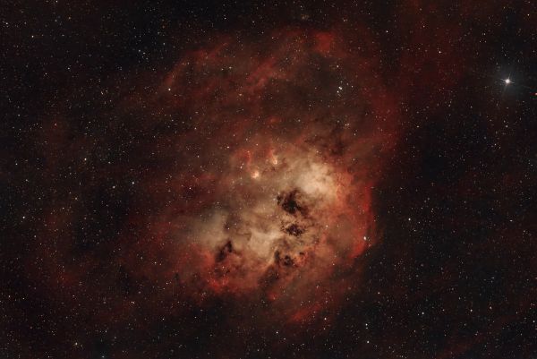 IC 410 The Tadpoles Nebula - Astrophotography