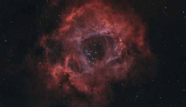 NGC 2238 Rosette Nebula - Astrophotography