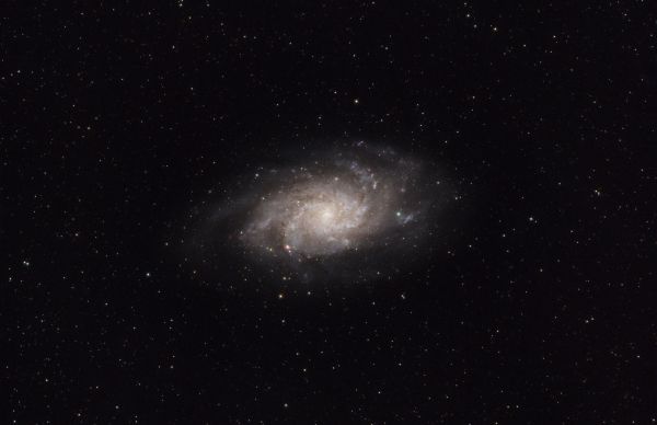 Triangulum Galaxy (M 33, NGC 598) - Astrophotography