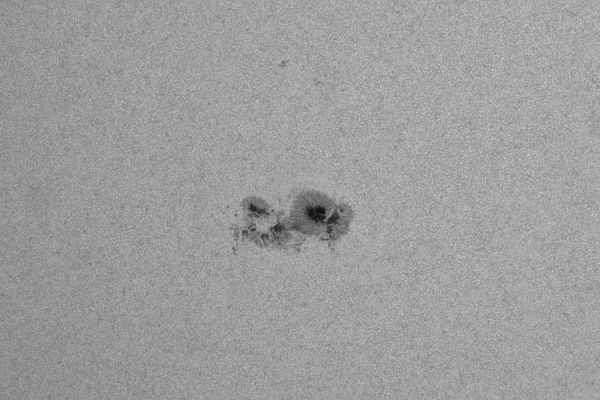 Sunspots 09:15 UTC+05 30.05.2025 - Astrophotography