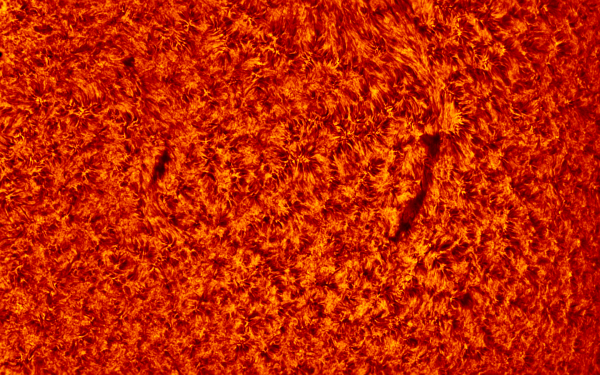 2019.07.06 Sun H-Alpha - Astrophotography