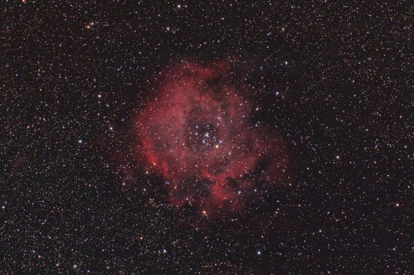 NGC 2237 Rosette Nebula - Astrophotography