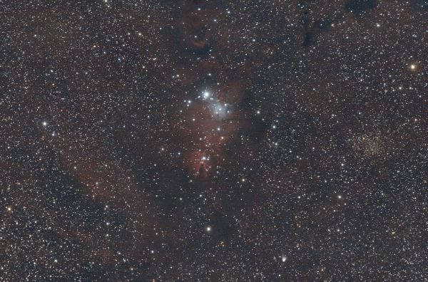 NGC2264 - Astrophotography