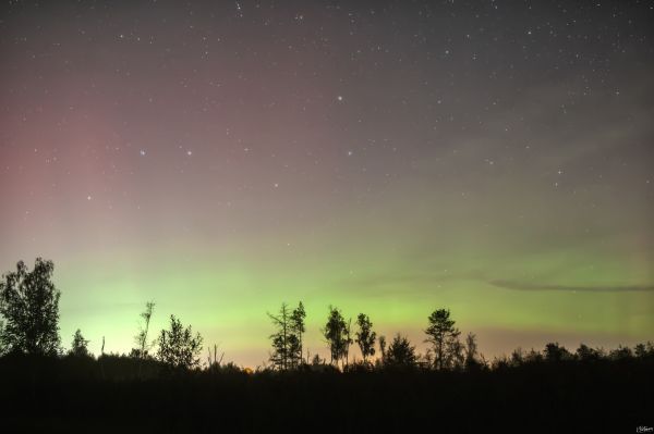 Aurora - Astrophotography