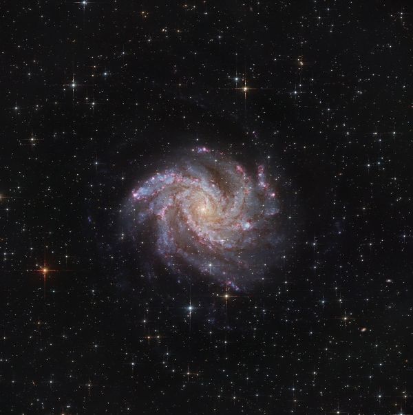 NGC 6946 Fireworks Galaxy - Astrophotography