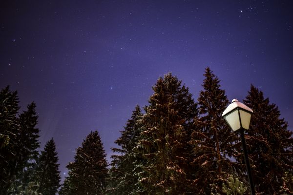 Winter park and stars - Astrophotography