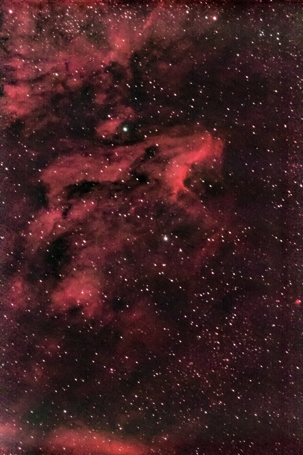 Pelican Nebula in the constellation Cygnus. May 25-26, 2024 - Astrophotography
