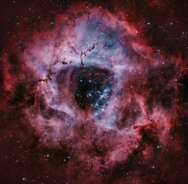 Rosetta Nebula - Astrophotography