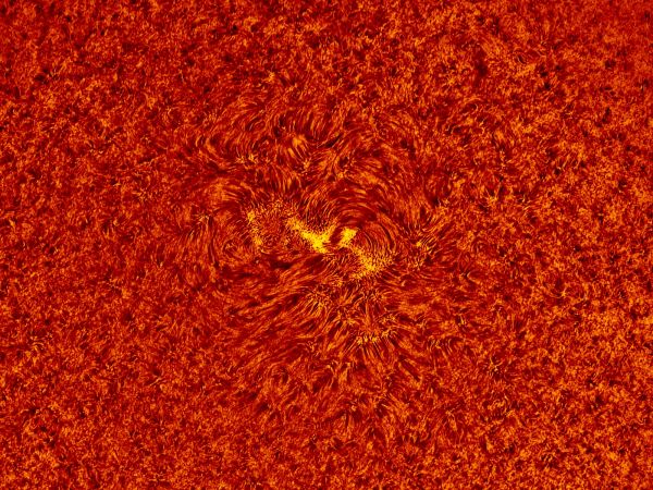 2018.05.13 Sun AR12709 H-Alpha animation - Astrophotography