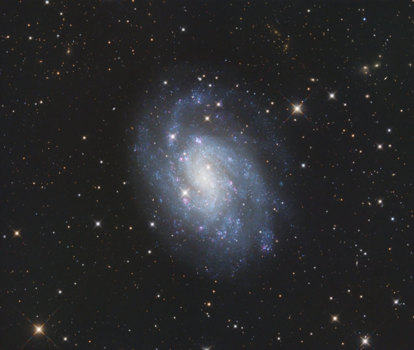 Sculptor Pinwheel Galaxy (NGC 300) - Astrophotography