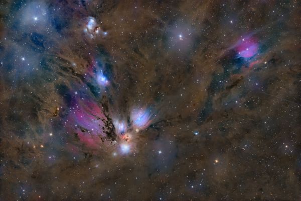 NGC2170 - Astrophotography