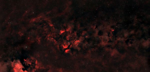 Nebulae in the constellation Cygnus - Astrophotography