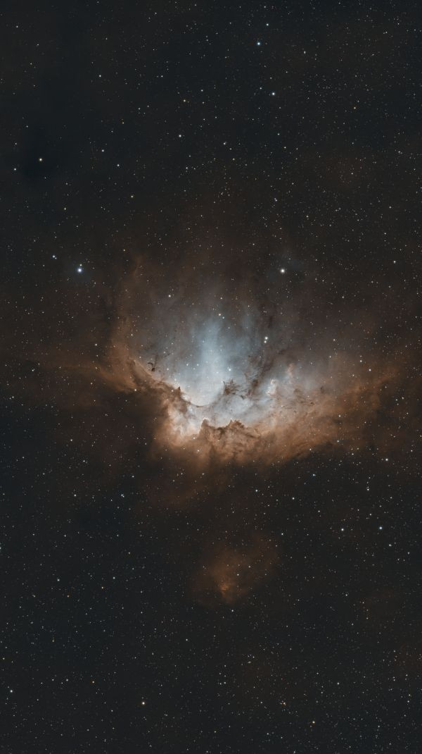 Wizard Nebula
