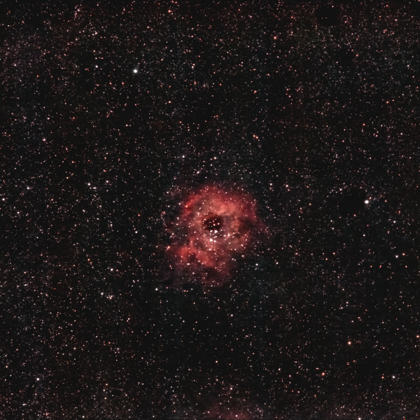 Rosette Nebula (NGC 2237) from 07-08.01.2024 - Astrophotography