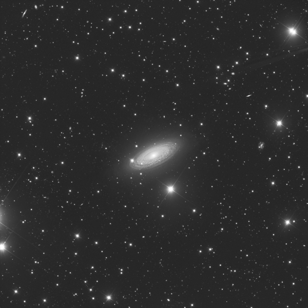 NGC 2841 - Astrophotography