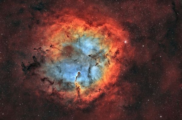 IC 1396 / SH2-131 Elephant's Trunk Nebula (SHO) - Astrophotography
