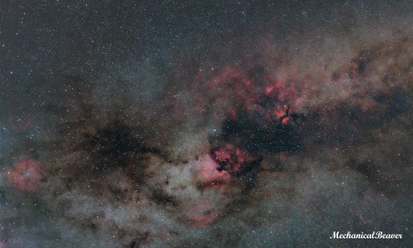Beauty under Cygnus wings - Astrophotography
