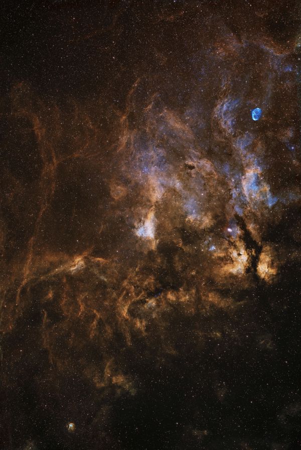 The Gamma Cygni Nebula - Astrophotography