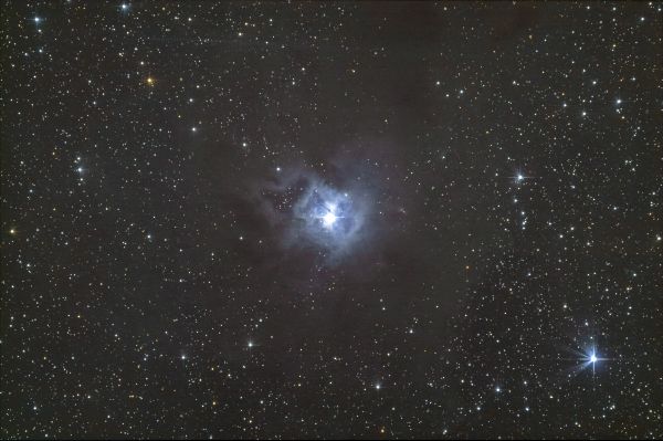 NGC7023 Iris - Astrophotography