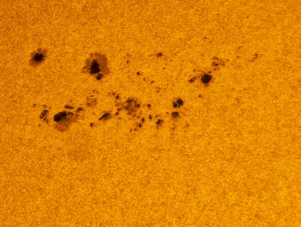 Sunspot region 3007 - Astrophotography