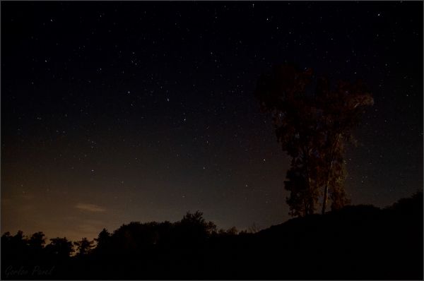 The constellation Ursa Major over the dark skies of Abkhazia. - Astrophotography