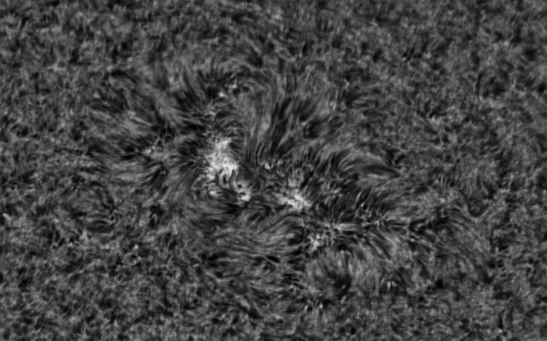 2020.04.04 Sun AR12759 H-Alpha wide - Astrophotography