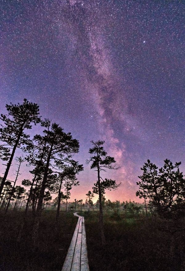 Milky Way / Kemeri Park 08.2025 - Astrophotography