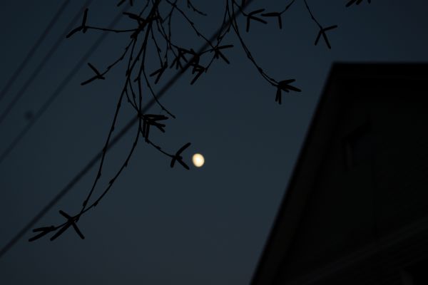 The Moon on December 8, 2019. - Astrophotography