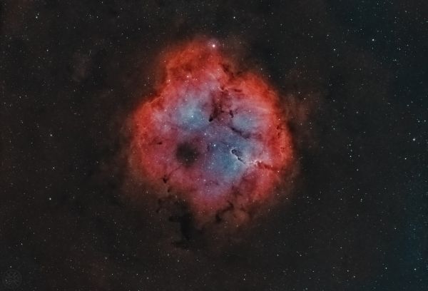 IC 1396A - Elephant's Trunk Nebula - Astrophotography