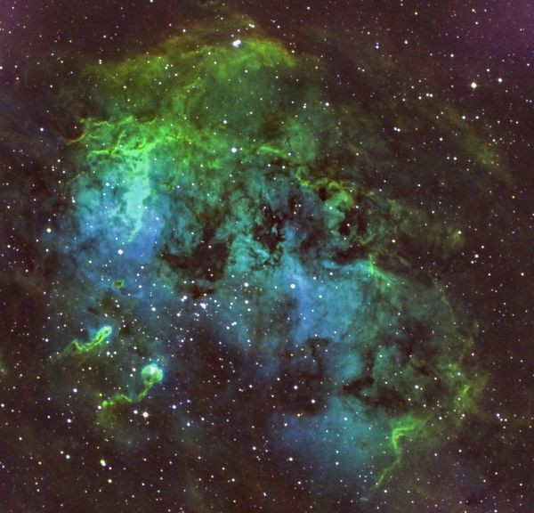 IC 410 Tadpoles - Astrophotography