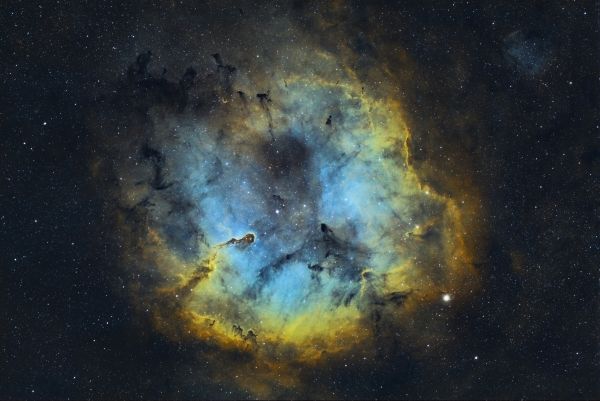 Elephant Trunk - Astrophotography