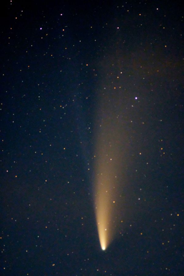 Comet C/2020 F3 - Astrophotography