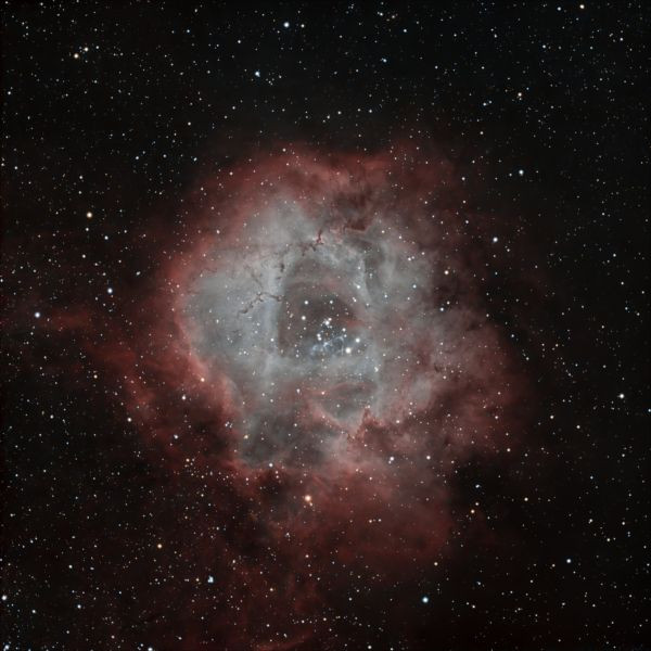 NGC 2237 - Astrophotography