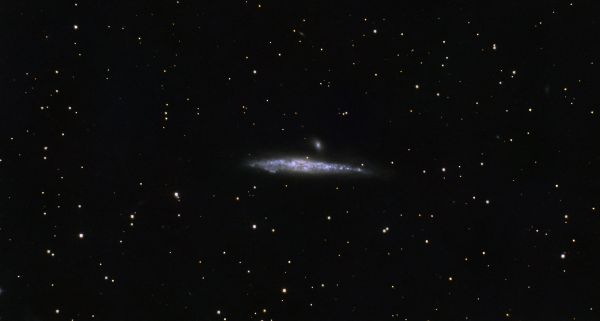 NGC4631 v2 - Astrophotography