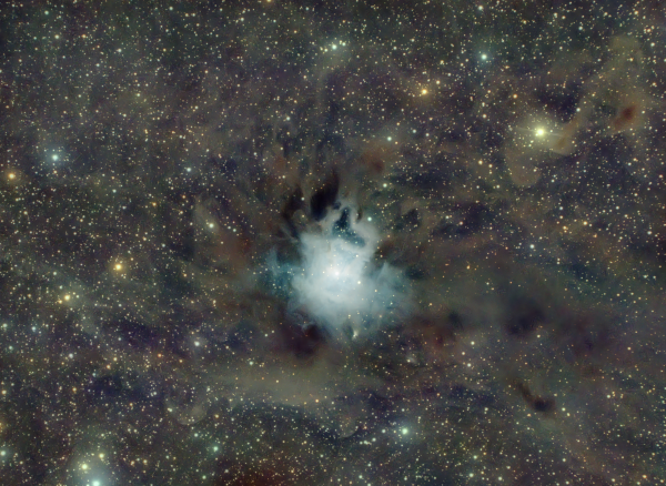 NGC 7023 Iris - Astrophotography