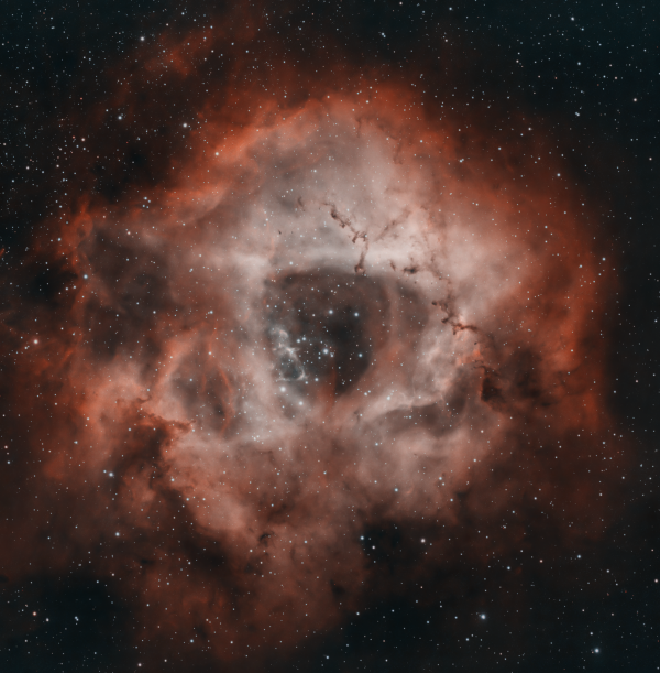 NGC2237, Rosette - Astrophotography