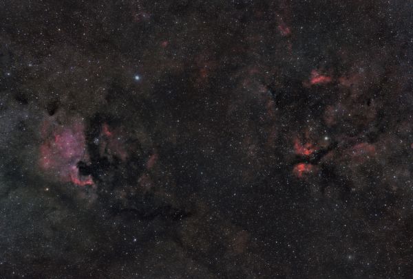 Cygnus Nebulae Complex - Astrophotography