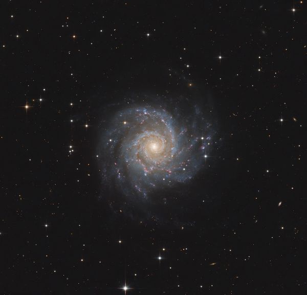 M74 Ghost Galaxy - Astrophotography