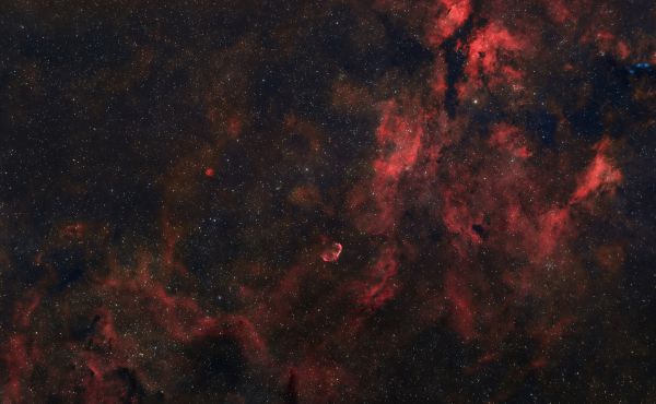 Wide-angle view of the nebulae in Cygnus - Astrophotography